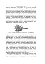 giornale/RAV0099383/1896/unico/00000129