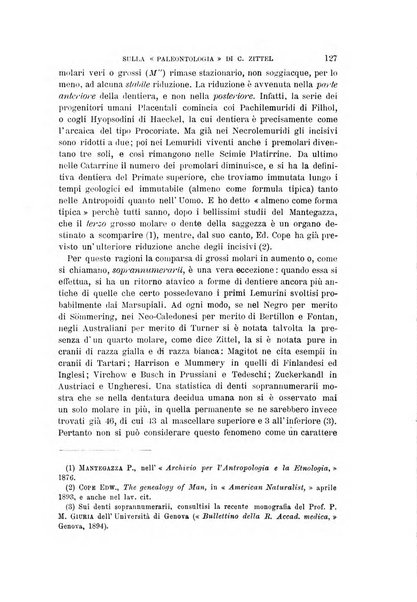 Archivio per l'antropologia e la etnologia