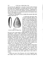 giornale/RAV0099383/1898/unico/00000384
