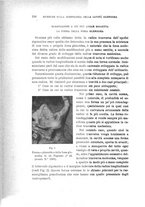 giornale/RAV0099383/1899/unico/00000210