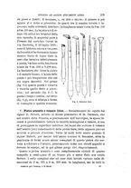 giornale/RAV0099383/1899/unico/00000251