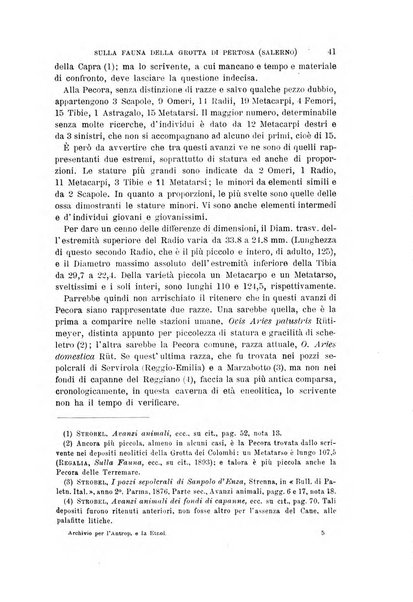 Archivio per l'antropologia e la etnologia