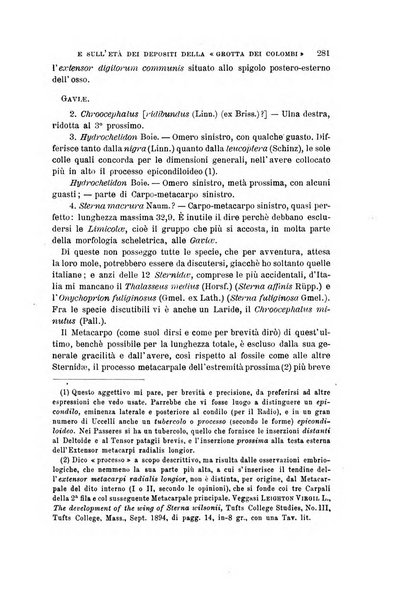 Archivio per l'antropologia e la etnologia