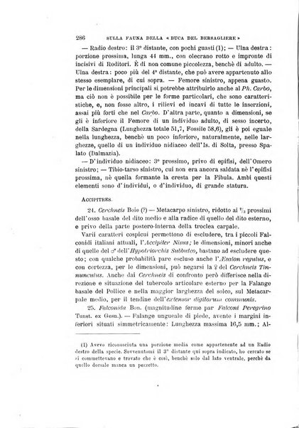 Archivio per l'antropologia e la etnologia