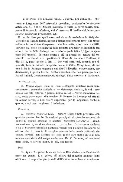 Archivio per l'antropologia e la etnologia