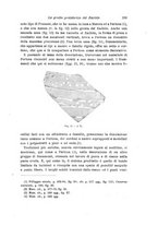 giornale/RAV0099383/1903/unico/00000229