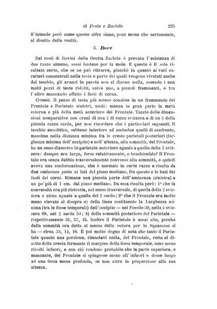 Archivio per l'antropologia e la etnologia