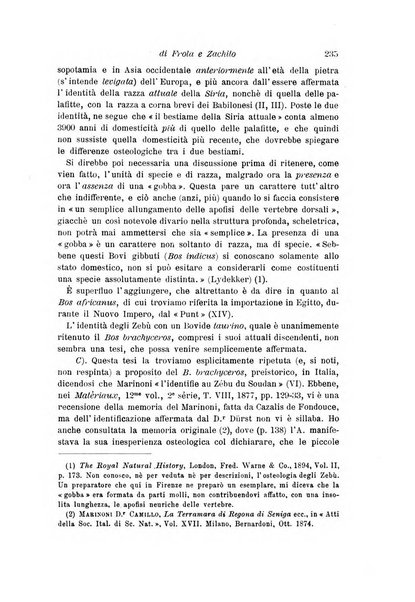 Archivio per l'antropologia e la etnologia