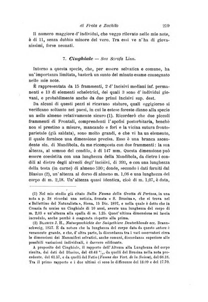 Archivio per l'antropologia e la etnologia