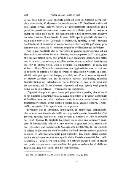 Archivio per l'antropologia e la etnologia