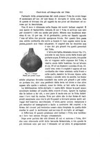 giornale/RAV0099383/1903/unico/00000334