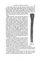 giornale/RAV0099383/1903/unico/00000343