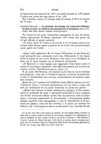 giornale/RAV0099383/1903/unico/00000594