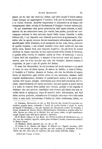 Archivio per l'antropologia e la etnologia