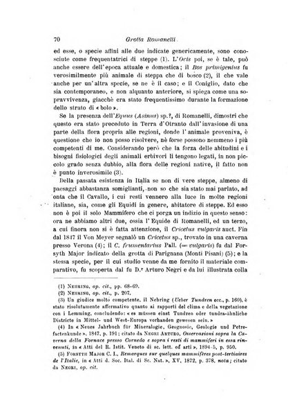 Archivio per l'antropologia e la etnologia