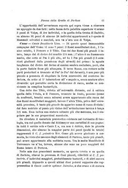 Archivio per l'antropologia e la etnologia