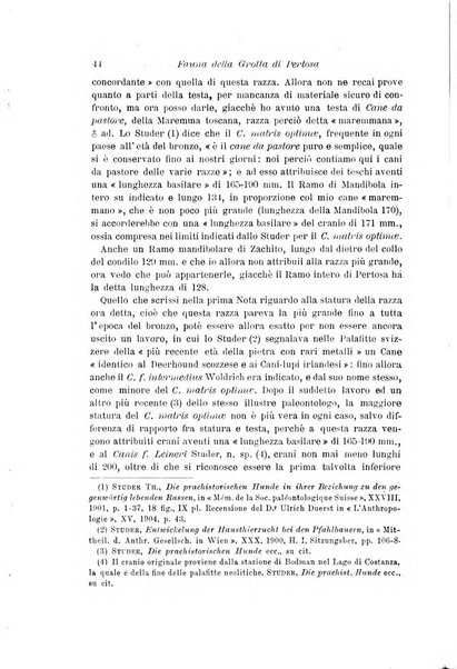 Archivio per l'antropologia e la etnologia