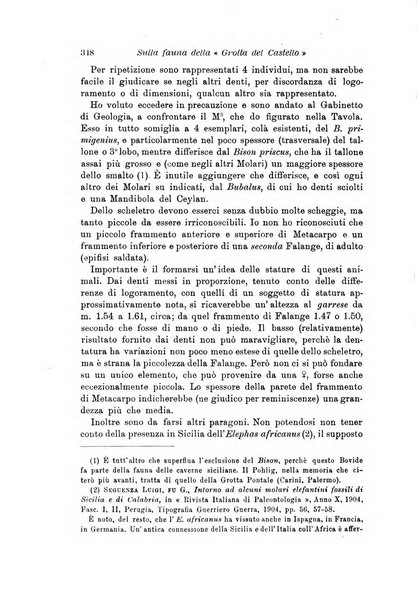 Archivio per l'antropologia e la etnologia