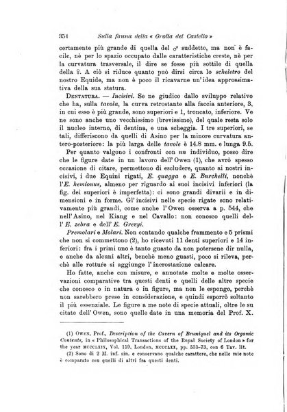 Archivio per l'antropologia e la etnologia