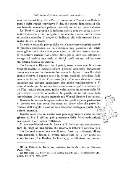 Archivio per l'antropologia e la etnologia