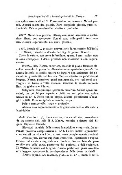 Archivio per l'antropologia e la etnologia