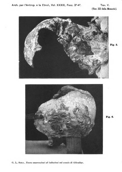 Archivio per l'antropologia e la etnologia