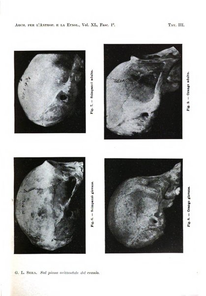 Archivio per l'antropologia e la etnologia