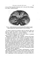 giornale/RAV0099383/1910/unico/00000047