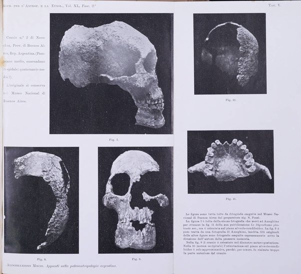 Archivio per l'antropologia e la etnologia