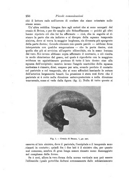 Archivio per l'antropologia e la etnologia