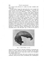 giornale/RAV0099383/1910/unico/00000274
