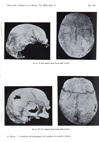 Archivio per l'antropologia e la etnologia