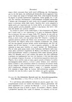 giornale/RAV0099383/1912/unico/00000391