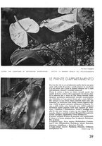 giornale/RAV0099414/1936/v.1/00000053