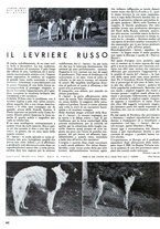 giornale/RAV0099414/1938/v.1/00000594
