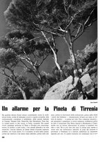 giornale/RAV0099414/1942/unico/00000304