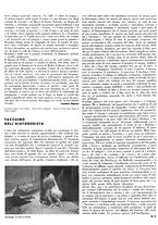 giornale/RAV0099414/1944/unico/00000430