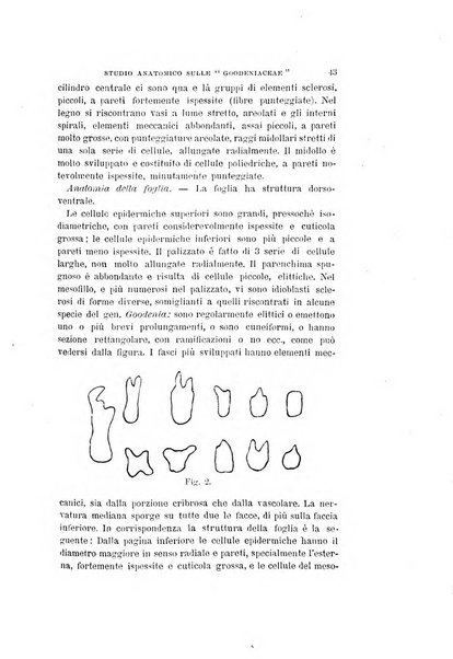 Nuovo giornale botanico italiano memorie della Società botanica italiana
