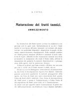 giornale/RAV0099774/1925/v.32/00000042