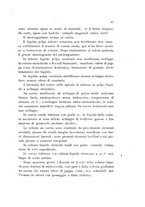 giornale/RAV0099774/1925/v.32/00000053
