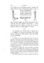 giornale/RAV0099987/1924/unico/00000276