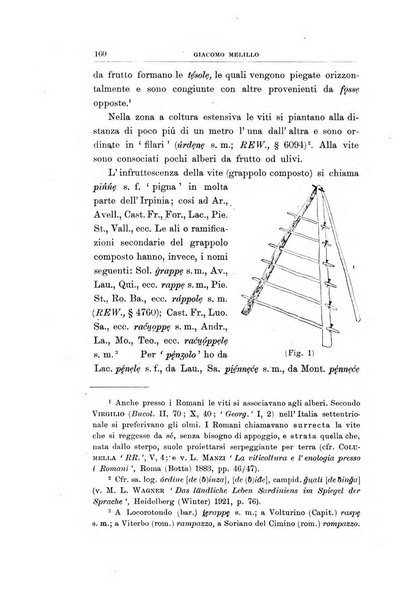 L'Italia dialettale Rivista di dialettologia italiana