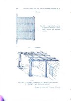 giornale/RAV0099987/1933/unico/00000318