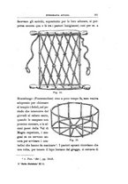 giornale/RAV0099987/1935/unico/00000181