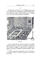 giornale/RAV0099987/1935/unico/00000187