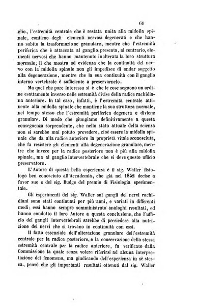 Il nuovo cimento giornale di fisica, di chimica, e delle loro applicazioni alla medicina, alla farmacia ed alle arti industriali