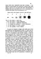 giornale/RAV0100406/1857/unico/00000529