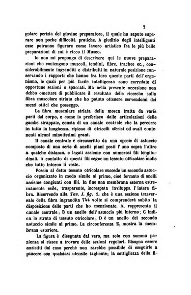 Il nuovo cimento giornale di fisica, di chimica, e delle loro applicazioni alla medicina, alla farmacia ed alle arti industriali