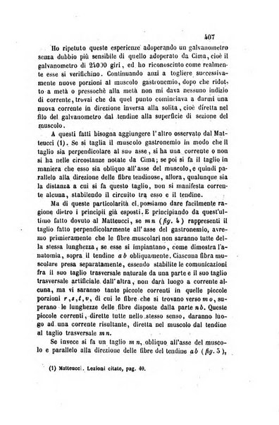 Il nuovo cimento giornale di fisica, di chimica, e delle loro applicazioni alla medicina, alla farmacia ed alle arti industriali