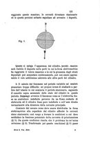 giornale/RAV0100406/1883/unico/00000135